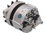 Alternatore 72,5 Mm 55A Hc Cargo Per Alfa Romeo 33