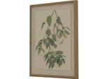 Hill Interiors - Arte Murale Incorniciata "Flora & Fauna Collection"", Cannaiola HI5177 (50 Cm X 2 Cm X 40 Cm) (Marrone/Bianco/Verde)"