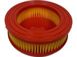 Filtro Aria Per Bolens 5T65RU 5T65RUA 1T65NUB 5T65VUA / 751-14628 951-14628