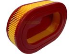 Filtro Aria Per Ducar DV140 DV196 Lider Dk53N225E-4W1 / 292915/1 5314 Tosaerba