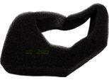 Filtro Aria Per Honda Gx 25 Nt HHT25S / 17211-Z0H-000 17211-Z05-000 Decespugliatore