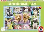 Schmidt Spiele 56162 Puzzle Cuccioli - 200 Pezzi