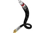 In-Akustik Excellence Mono Sub 3 M