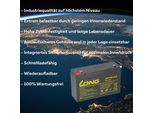 Batteria Al Piombo Compatibile PS-6100 F1 6V 12Ah Agm Piombo 10Ah