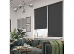 Jiubiaz Tenda A Rullo Per Esterni Tenda A Rullo Verticale Per Balcone Tenda A Rullo Protezione Privacy Protezione Solare Tenda A Rullo 100 X 140 Cm Tenda A Rullo Per Esterni Per Finestre E Porte, Antracite
