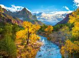 Castorland Puzzle Autunno Nel Parco Nazionale Di Zion, Usa 3000 Pezzi