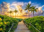 Castorland Puzzle 3000 Pezzi Alba Colorata A Miami, Usa - Alba A Miami 92X68Cm