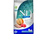 N&D Ocean Dog Adult Mini Salmone & Merluzzo & Melone 2,5Kg