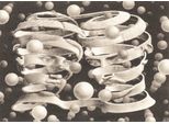 Puzzelman Puzzelman Band - M.C. Escher (1000)