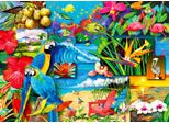 Enjoy Puzzle Dei Tesori Tropicali 1000 Pezzi