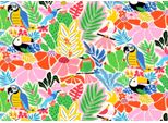 Enjoy Puzzle Della Giungla Felice 1000 Pezzi