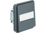 Berker 50413515 Inserto A Pulsante Con Basculante E Campo Di Etichettatura, Illuminato, Contatto Na, W.1, Grigio Opaco