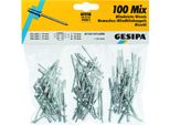 Assortimento Di Rivetti Ciechi 100 Pz.Gesipa