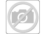 Cuscinetto A Rulli Cilindrici NCF2934 Cv Id 170Mm Od 230Mm Larghezza36Mm Skf