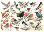 Uccelli Nel Mio Giardino - Puzzle Da 1000 Pezzi