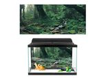 Poster Acquario, Poster Acquario, Poster Acquario Sfondo, Poster Acquario Sfondo, Decorazione Acquario