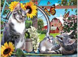 Sunsout Puzzle Out Of Reach - 1000 Teile Puzzle