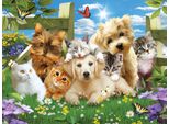 Sunsout Puzzle Xxl - Cuccioli E Gattini - 300 Pezzi