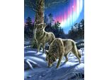 Sunsout Puzzle Lupi Nell'aurora Boreale - Puzzle Da 1000 Pezzi