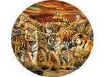 Sunsout Puzzle Xxl - Lori Schory - Tigri A Volontà - 500 Pezzi