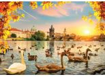 Puzzle Magnolia Cigni Vicino Al Ponte Carlo - 1000 Teile Puzzle