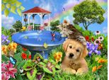 Sunsout Puzzle Xxl Pezzi - Motivo Animali 300 Pezzi Cartone
