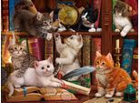 Sunsout Puzzle Library Gattini - Puzzle Da 1000 Pezzi Per Gatti
