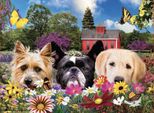 Sunsout Puzzle Hello - Puzzle Da 500 Pezzi