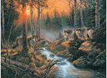 Sunsout Puzzle Ombre Della Foresta - Puzzle Da 1000 Pezzi