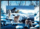 Sunsout Puzzle Animali Kevin Daniel - Lupi Dei Ghiacci - 1000 Pezzi