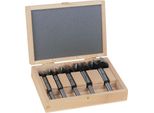 Set Di Punte Forstner Tipo 0310 5 Pezzi Ø 15, 20, 25, 30, 35 Mm