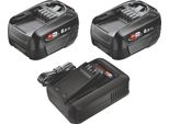 Bosch Starter Set 18 V 2X Pba 18V 6.0Ah W-C Batteria 6.0 Ah ( 2X 1600A00DD7 ) + Caricatore Al 18V-44 ( 1600A031X0 )