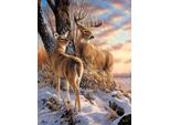 Sunsout Xxl Puzzle Escapade - 500 Teile Puzzle Spaß