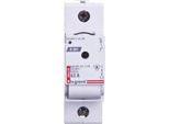Fusibile Sezionatore 1P 63A D02 R301 606609