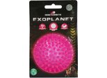 Cane Comete Exopianeta Rosa M