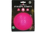 Cane Comete Pianeta Extrasolare Rosa L