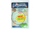 Gatto Ballerino Gatto Ballerino Di Erba Gatta