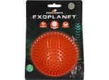 Cane Cometa Pianeta Extrasolare Orange L