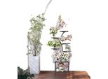 Supporto Per Piante, 7 Livelli, Design Vintage, Nero E Marrone