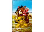 Disney Il Re Leone Terre Dell'orgoglio Trio Asciugamano, Asciugamano Viso, Asciugamano 30X50 Cm