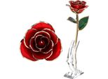 Rosa A Gambo Lungo, Immersa In Oro 24 Carati, In Confezione Regalo Con Supporto Trasparente. Rose Rosse Per Voi