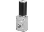 Riduzione Della Velocità Del Motore Elettrico Del Riduttore Reversibile Del Motore A Vite Senza Fine Dell'albero Di 8Mm 24V (80RPM)