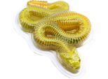 DISSECT-IT Seziona Un Serpente A Sonagli Mega Confezione Regalo
