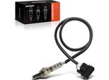 Frankberg 1X Sonda Lambda Sensore Di Controllo Prima Del Catalizzatore Per Vw Golf Iii Passat 35I 3A2 Vento 1H2 Corrado
