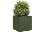 Maison Exclusive - Vaso Per Piante Verde Oliva 40X40X40 Cm Acciaio Laminato A Freddo