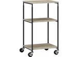 Fortuna Lai Tavolo Per Stampante Con Rotelle, Supporto Per Stampante A 3 Livelli, Supporto Per Stampante, Carrello Per Stampante Con Portata Fino A 12 Kg, Per Ufficio, Studio, Acciaio, 39 X 34,5 X 81,5 Cm