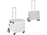 Carrello Della Spesa Pieghevole Fortuna Lai Con Maniglia Telescopica Regolabile, Saliscale Fino A 80 Kg, Con Coperchio, Bianco Per La Spesa E I Viaggi