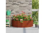 Maison Exclusive - Vaso Da Fiori Ruggine 120 X 60 X 35 Cm Acciaio Resistente Alle Intemperie