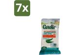 Carolin – Salviette – Eucalipto – 80 Salviette - Confezione Risparmio - 7 Pezzi