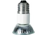 Repti-Zoo Mini Spot Alogeno 35W - Piccolo Riscaldatore Alogeno Repti-Zoo